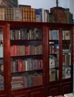 book shelf and vitrine with old books