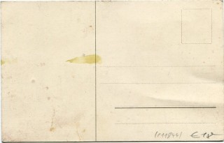 image of the back side of article no. P 11844